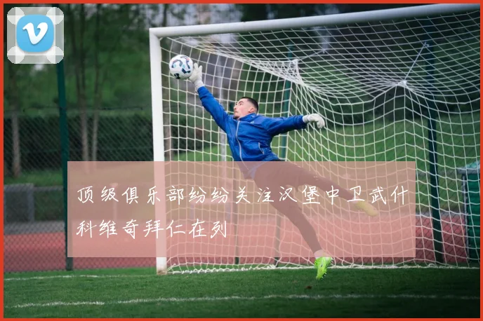顶级俱乐部纷纷关注汉堡中卫武什科维奇拜仁在列