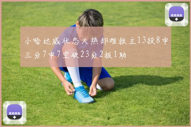 小哈达威状态火热却难救主13投8中三分7中7空砍23分2板1助
